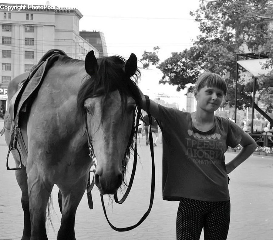 People, Person, Human, Animal, Horse, Mammal, Pants