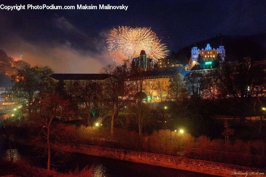 Fireworks, Night, Plant, Potted Plant, Tree, Dawn, Dusk