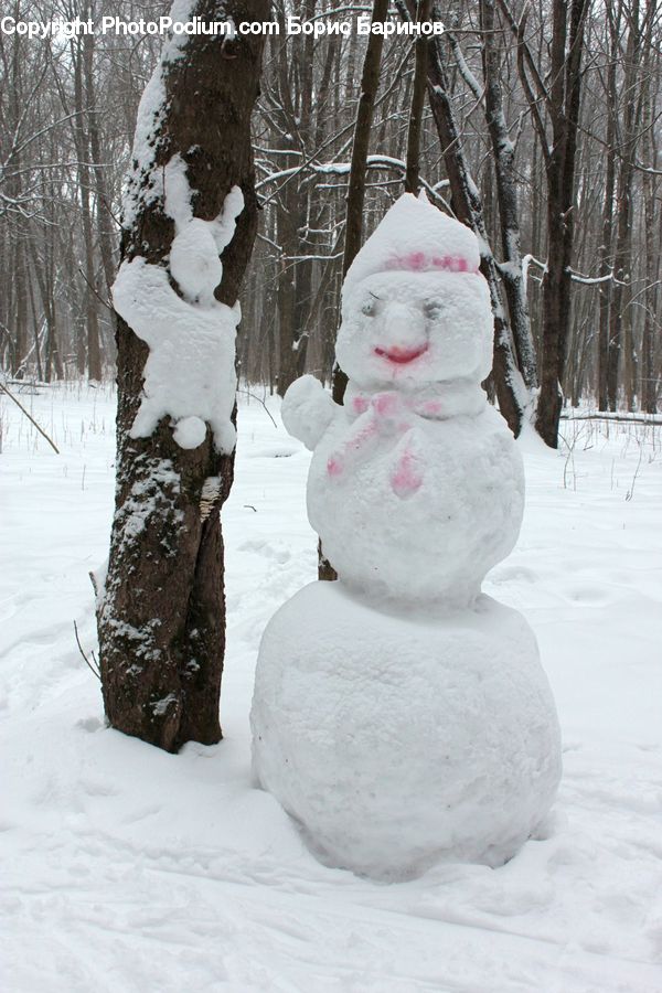 Ice, Snow, Snowman, Winter, Outdoors, Birch, Tree