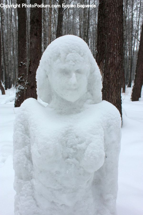 People, Person, Human, Ice, Outdoors, Snow, Tree Trunk