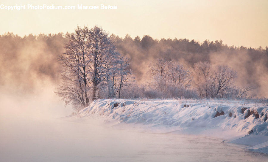 Blizzard, Outdoors, Snow, Weather, Winter, Dawn, Dusk