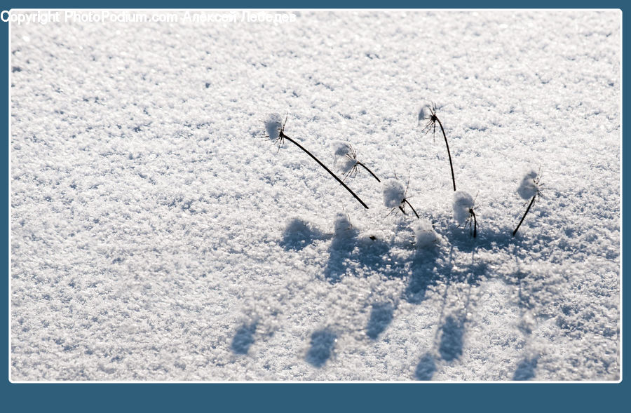 Ice, Outdoors, Snow, Landscape, Nature, Scenery, Art