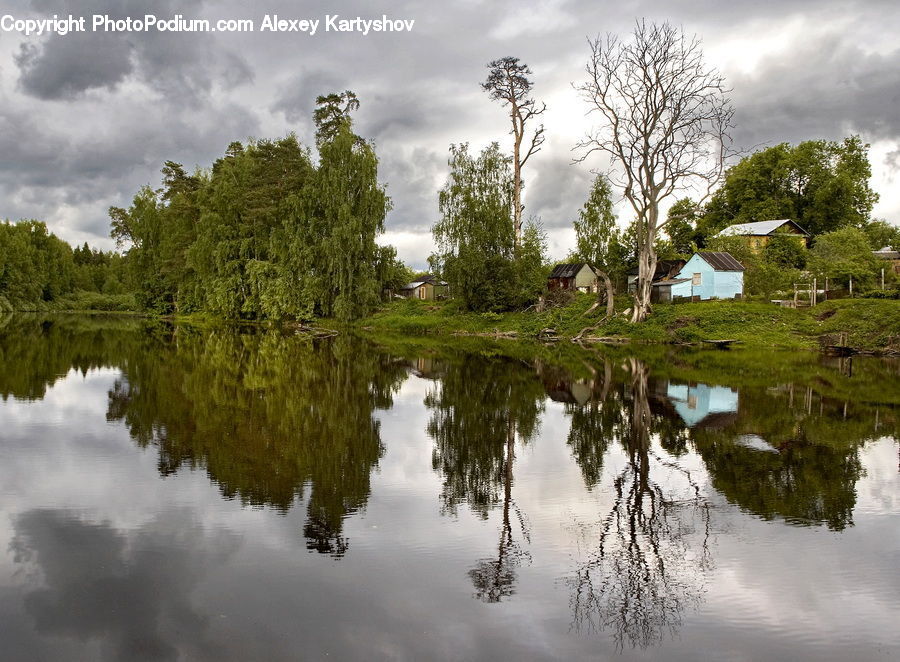 Outdoors, Pond, Water, Land, Marsh, Swamp, Conifer