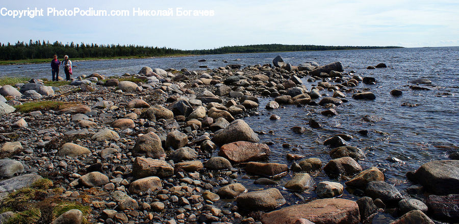 Coast, Outdoors, Sea, Water, Rock, Pebble, Bird