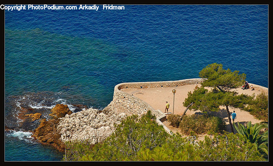 Coast, Outdoors, Sea, Water, Ocean, Plant, Vegetation