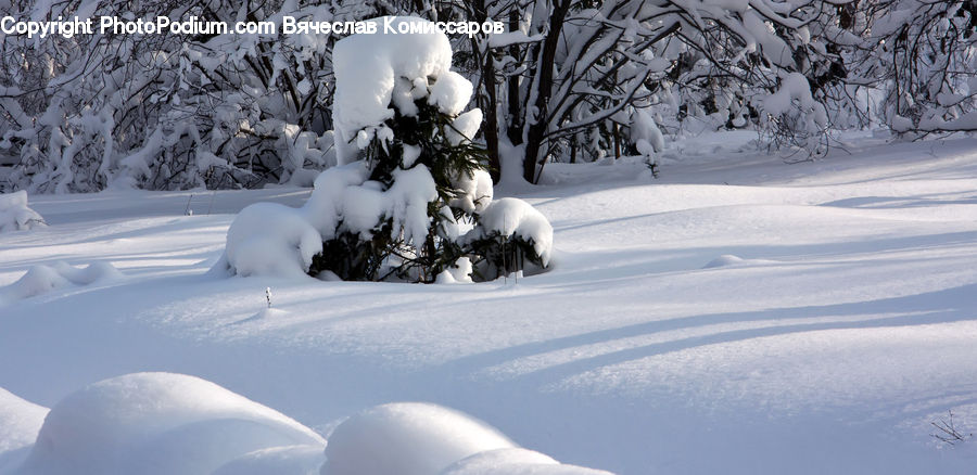 Blizzard, Outdoors, Snow, Weather, Winter