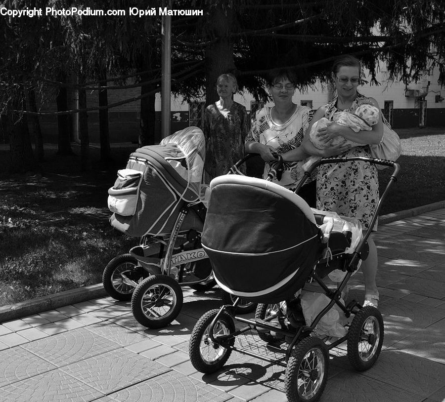 People, Person, Human, Wheelchair, Portrait