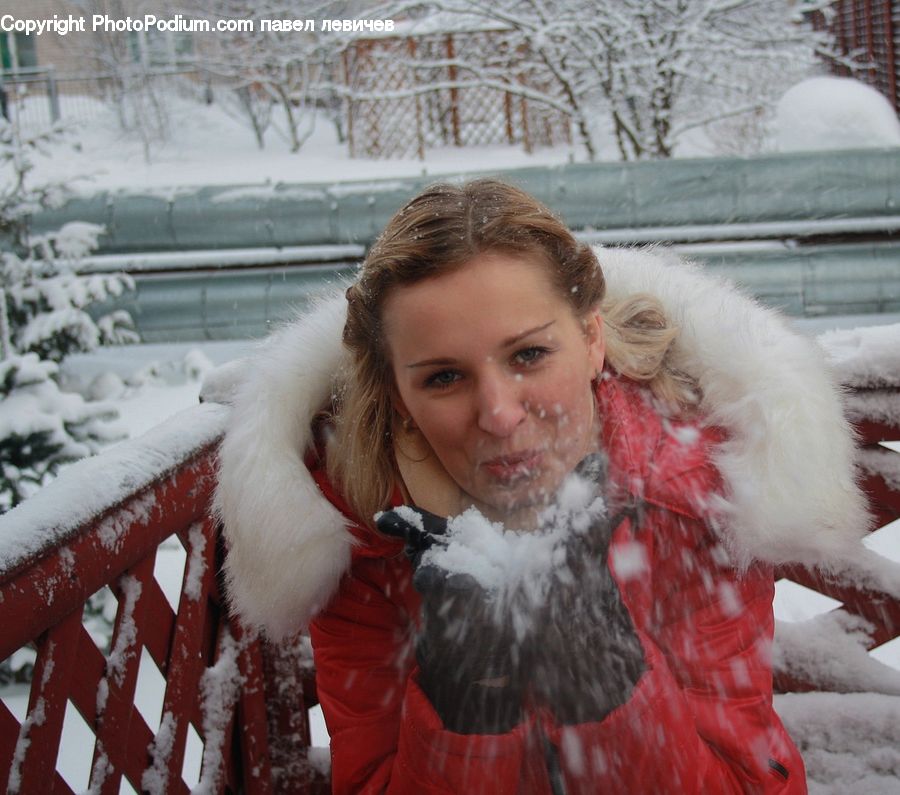 Feather Boa, Scarf, People, Person, Human, Ice, Outdoors