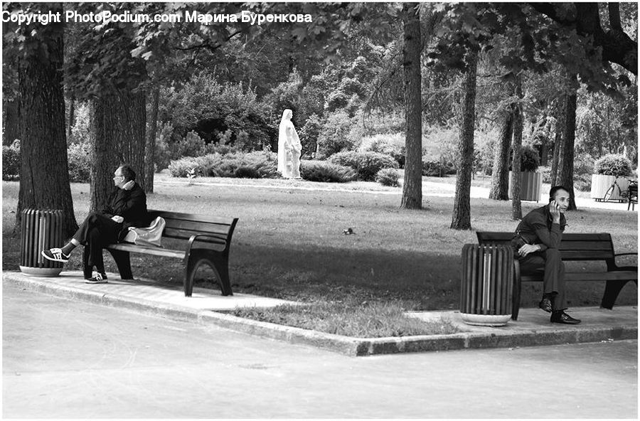 People, Person, Human, Bench, Park Bench, Sitting, Hat