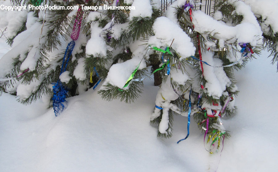 Feather Boa, Scarf, Ice, Outdoors, Snow, Lei, Accessories