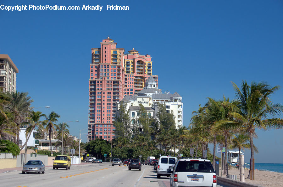 Building, Housing, Palm Tree, Plant, Tree, City, High Rise