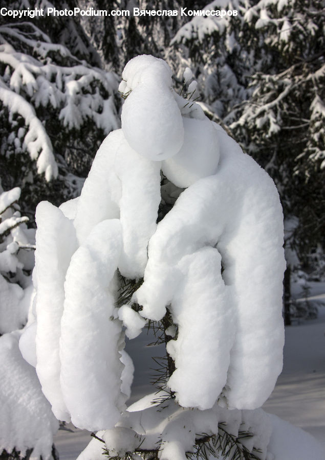 People, Person, Human, Ice, Outdoors, Snow, Snowman