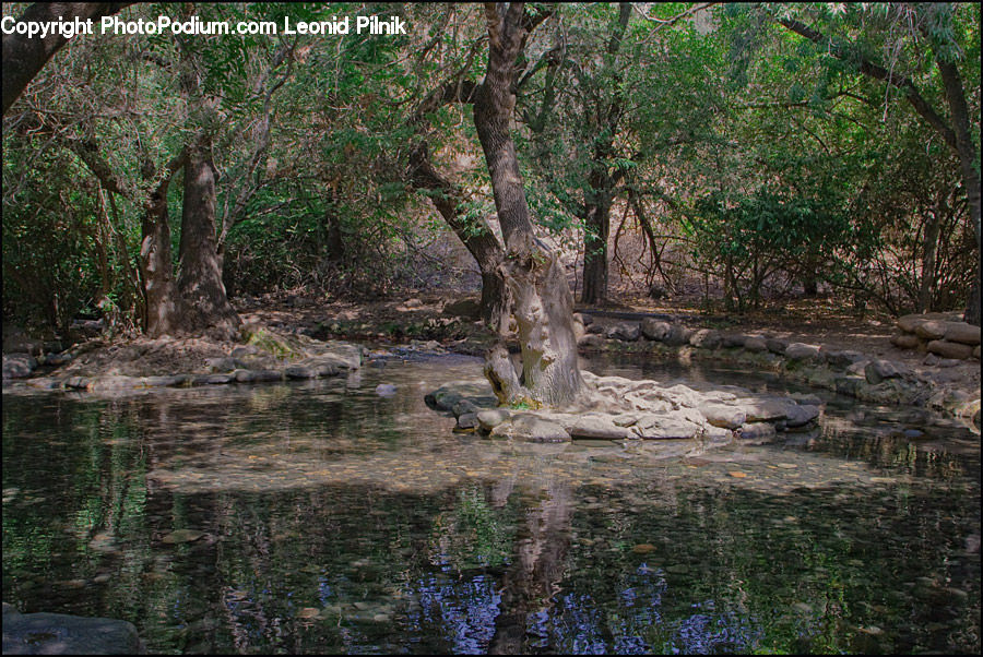 Land, Marsh, Outdoors, Swamp, Water, Brick, Creek