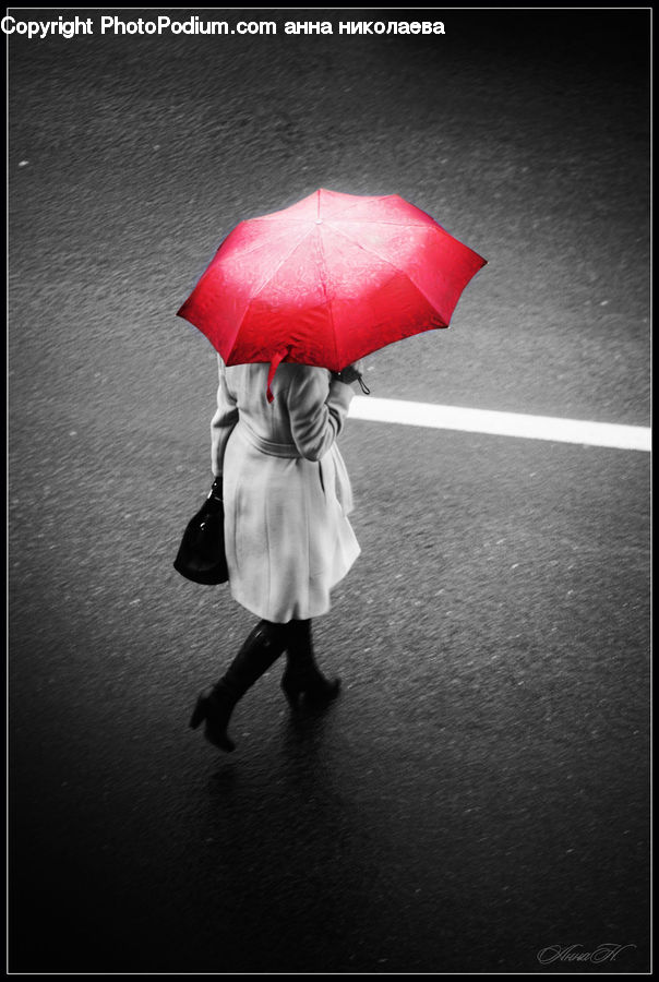 Umbrella, People, Person, Human