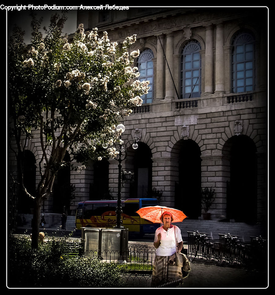 People, Person, Human, Umbrella, Bench, Arch, Bus
