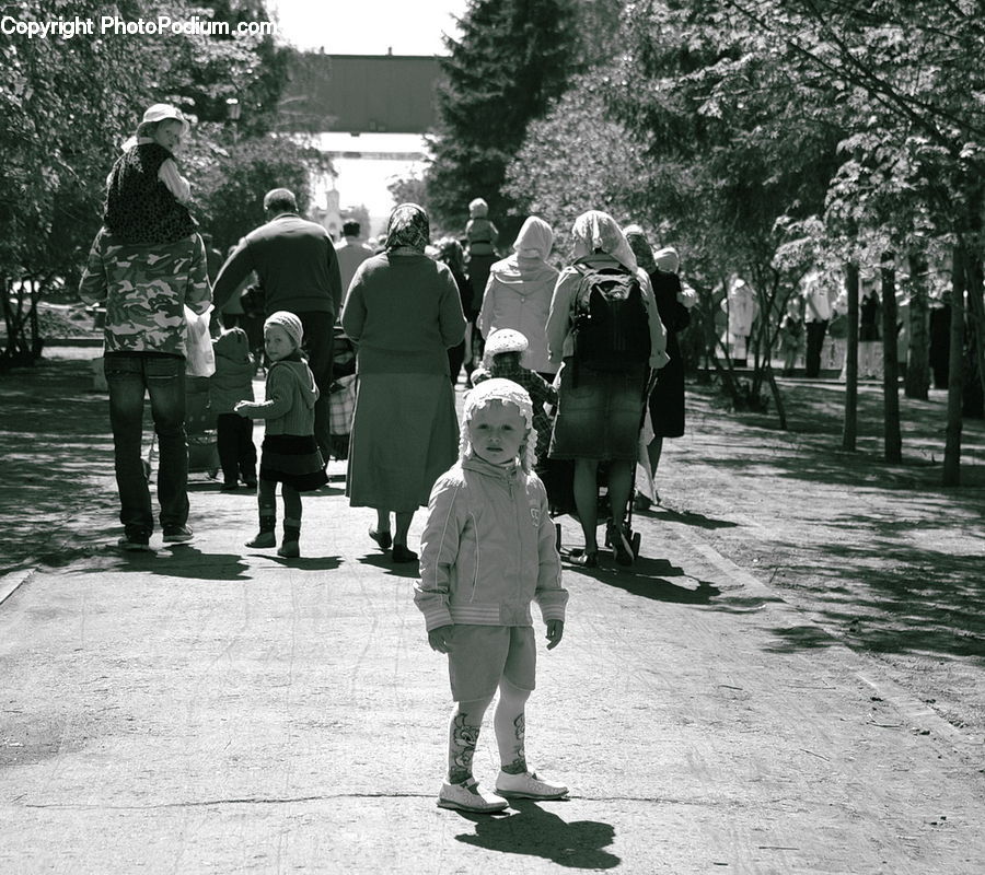 Human, People, Person, Coat, Conifer, Fir, Spruce