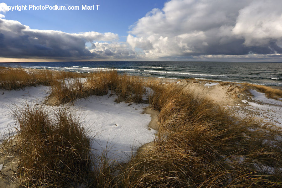 Flood, Field, Grass, Grassland, Plant, Beach, Coast