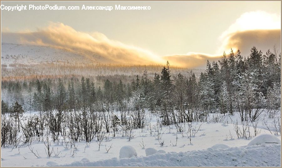 Arctic, Snow, Winter, Dawn, Dusk, Sky, Sunrise