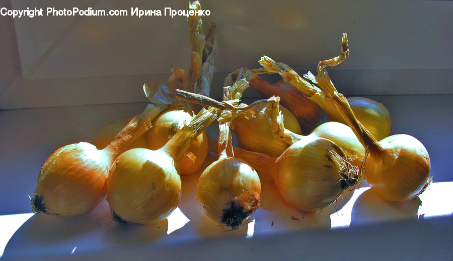 Garlic, Plant, Pumpkin, Squash, Vegetable, Produce, Onion