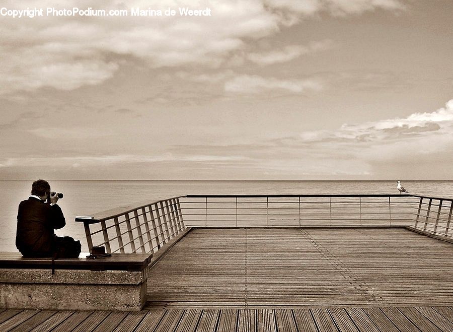 People, Person, Human, Boardwalk, Deck, Path, Sidewalk