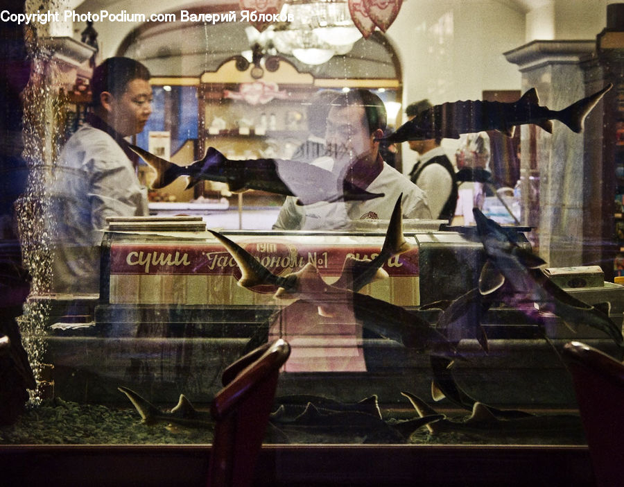 People, Person, Human, Glass, Bowl, Portrait, Selfie