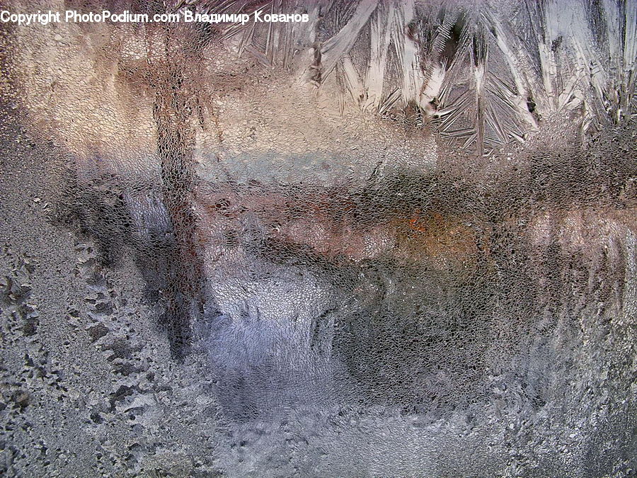 Land, Marsh, Pond, Swamp, Water, Dirt Road, Gravel