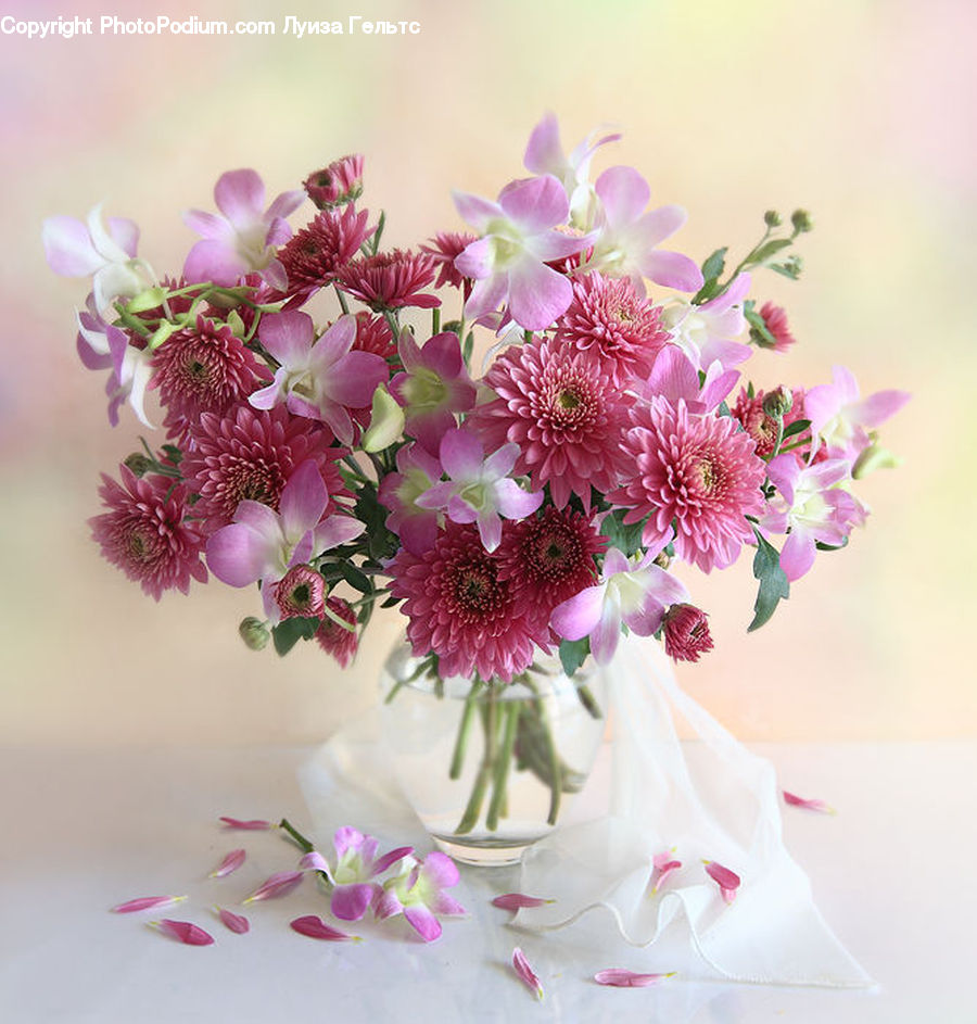 Blossom, Flora, Flower, Plant, Floral Design, Flower Arrangement, Flower Bouquet