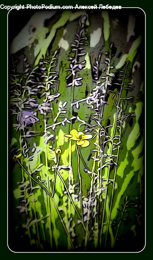 Art, Brochure, Flyer, Poster, Blossom, Flora, Flower