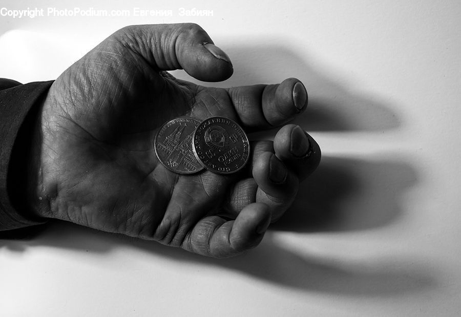 Coin, Money, Bean, Produce, Vegetable, Badge, Emblem