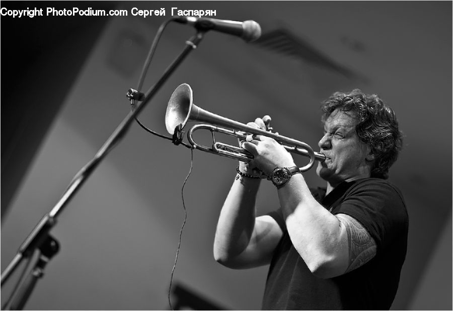 People, Person, Human, Brass Section, Horn, Musical Instrument, Trumpet