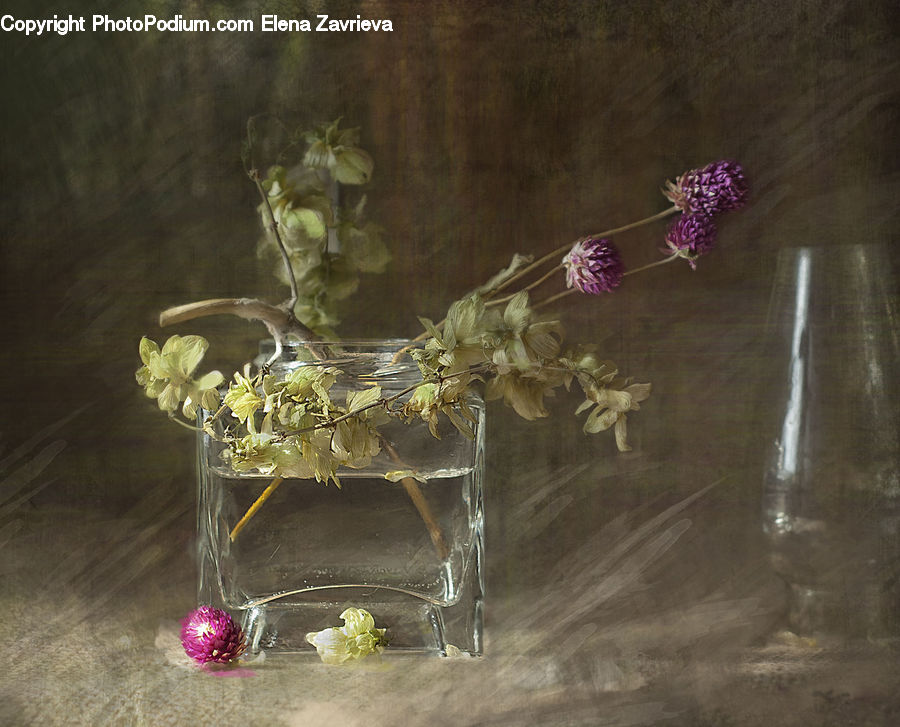Glass, Goblet, Plant, Potted Plant, Art, Painting, Buggy