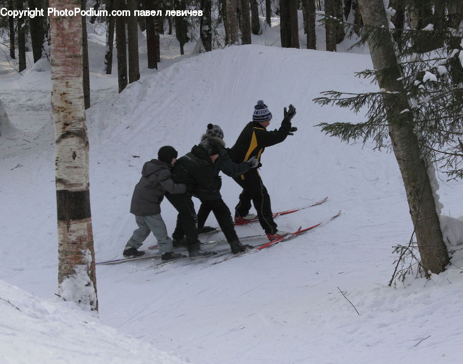 People, Person, Human, Piste, Slide, Snow, Snowboarding