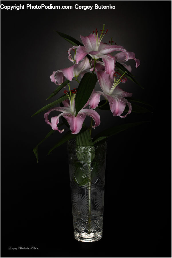 Jar, Porcelain, Vase, Floral Design, Flower, Flower Arrangement, Flower Bouquet