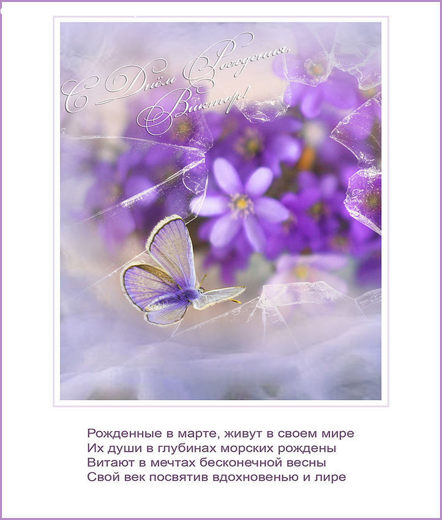 Brochure, Flyer, Poster, Greeting Card, Mail, Blossom, Flora