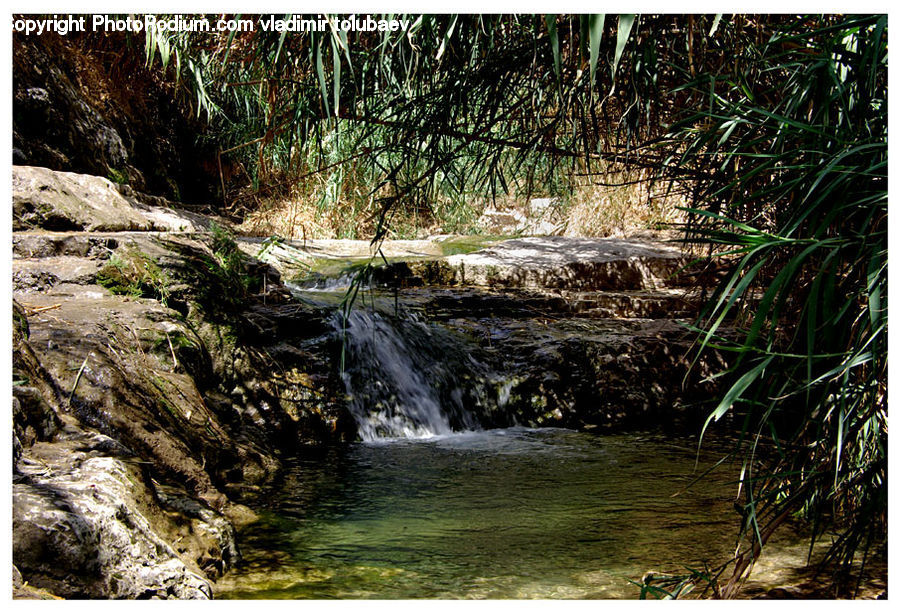 Creek, Outdoors, River, Water, Land, Marsh, Swamp