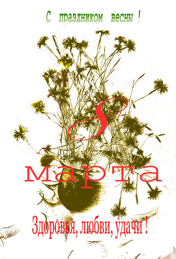 Floral Design, Logo, Trademark, Brochure, Flyer, Poster, Greeting Card
