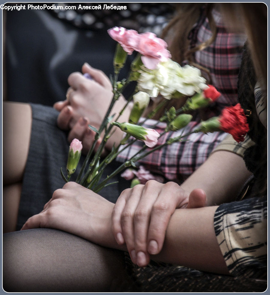 People, Person, Human, Flower, Flower Arrangement, Flower Bouquet, Finger