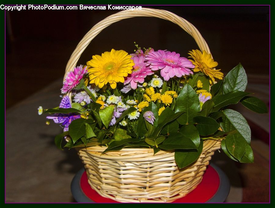 Flower, Flower Arrangement, Flower Bouquet, Basket, Floral Design, Plant, Ikebana