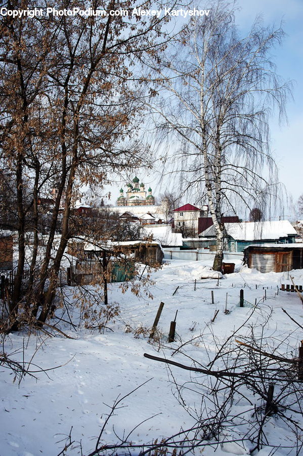 Landscape, Nature, Scenery, Ice, Outdoors, Snow, Frost