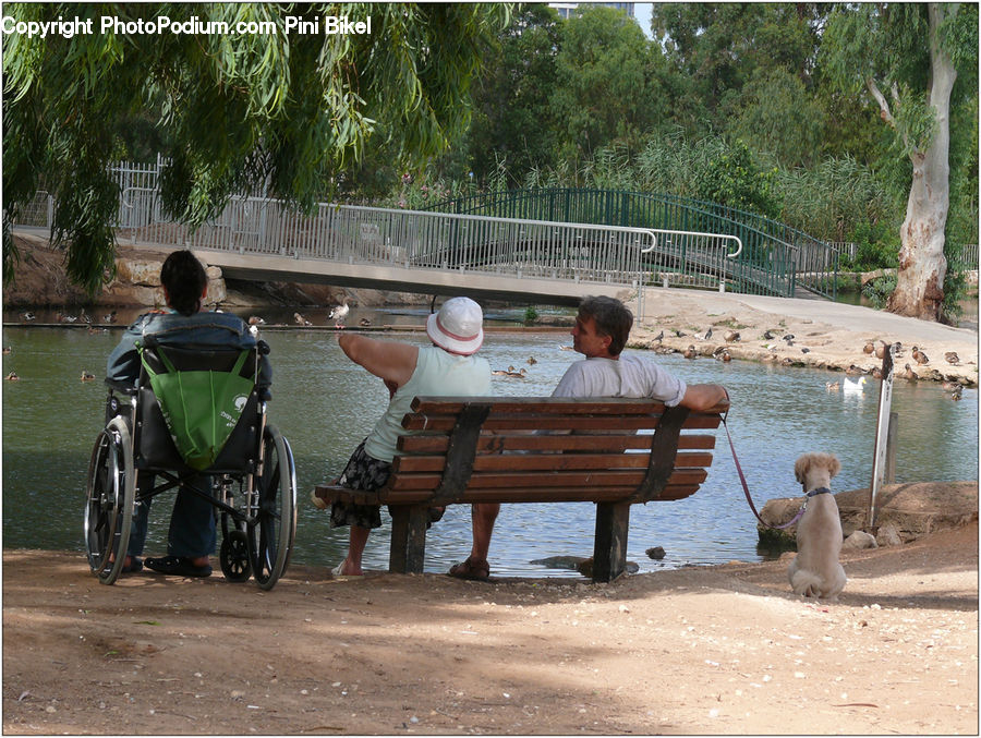 People, Person, Human, Bench, Park Bench, Leisure Activities