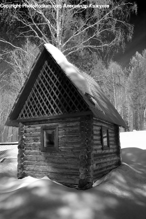 Cabin, Hut, Rural, Shack, Shelter, Building, Log Cabin