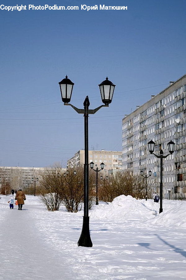 Lamp Post, Pole, Ice, Outdoors, Snow, Plant, Tree