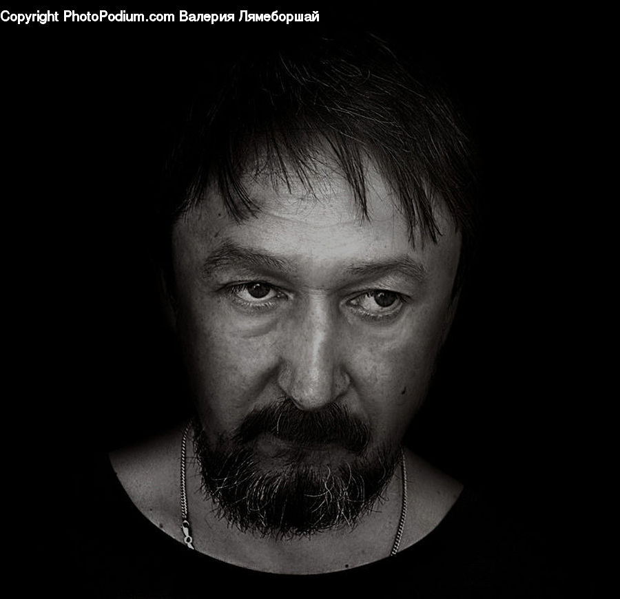 Human, People, Person, Beard, Hair, Portrait