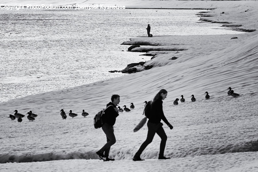 Human, People, Person, Outdoors, Sand, Soil, Beach