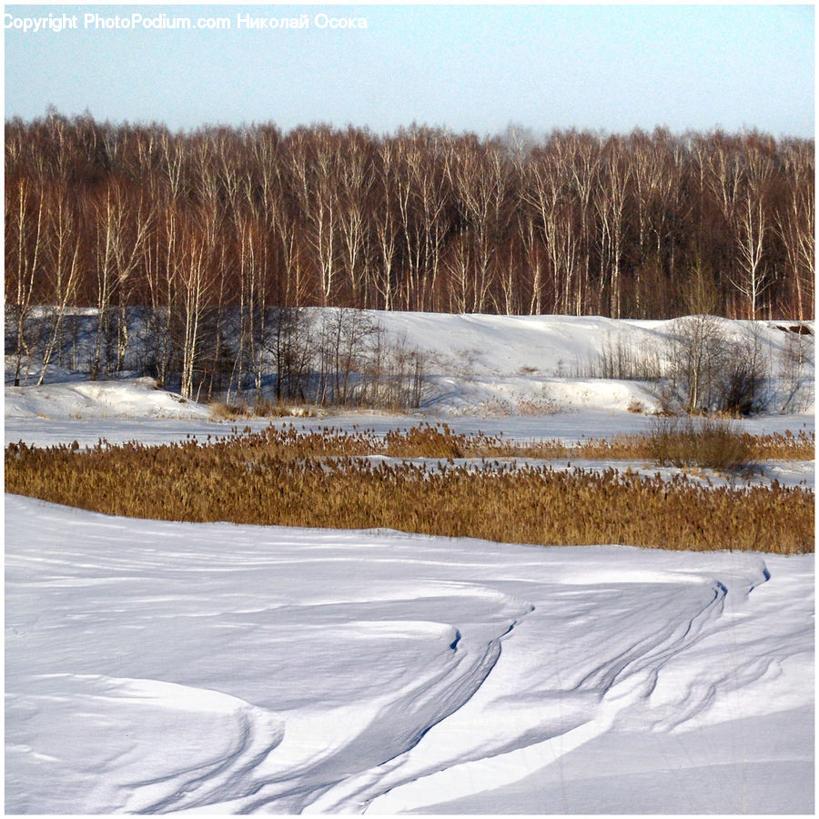 Ice, Outdoors, Snow, Field, Grass, Grassland, Land