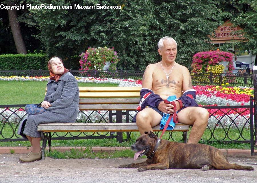 Plant, Potted Plant, People, Person, Human, Bench, Park Bench