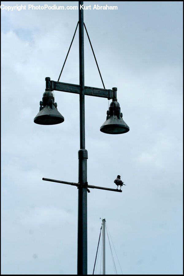 Lamp Post, Pole, Bird, Blackbird, Crow, Swallow, Architecture