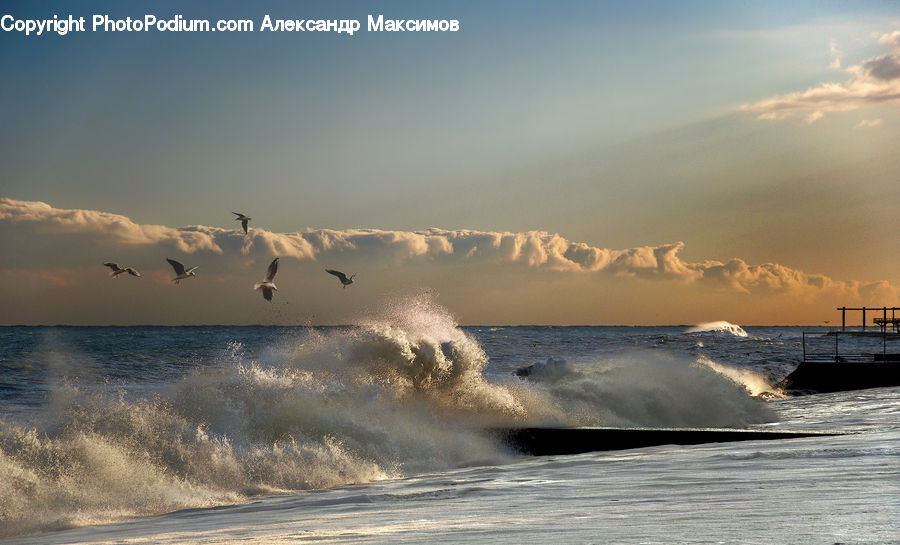 Outdoors, Sea, Sea Waves, Water, Beach, Coast, Ocean