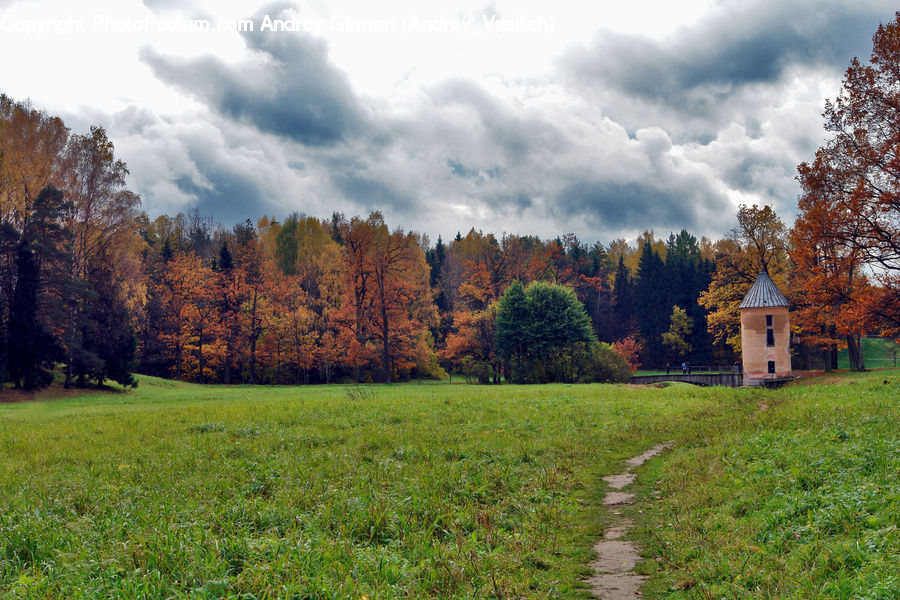 Field, Grass, Grassland, Land, Outdoors, Dirt Road, Gravel