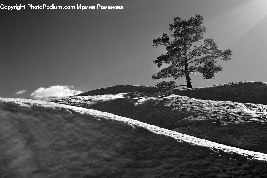 Alps, Crest, Mountain, Peak, Plant, Tree, Ice